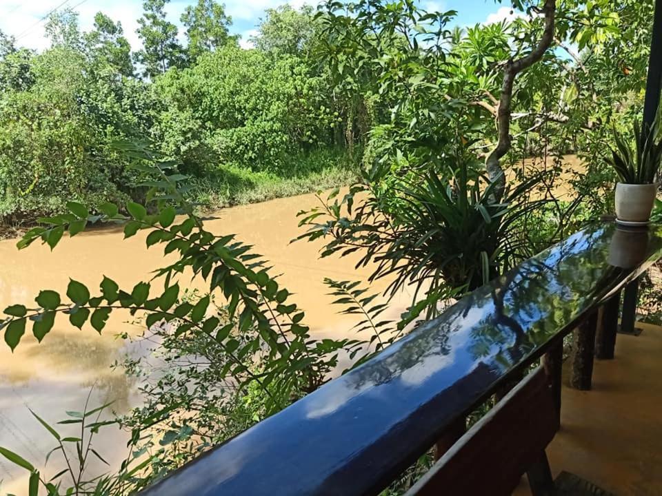 Suankafae Resort สวนกาแฟรีสอร์ท スラート・ターニー エクステリア 写真
