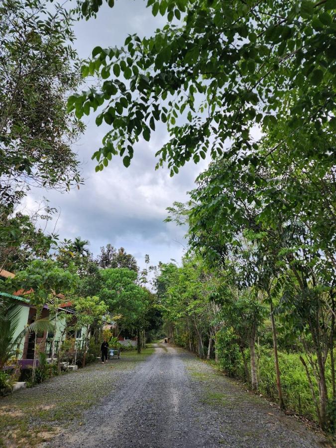 Suankafae Resort สวนกาแฟรีสอร์ท スラート・ターニー エクステリア 写真