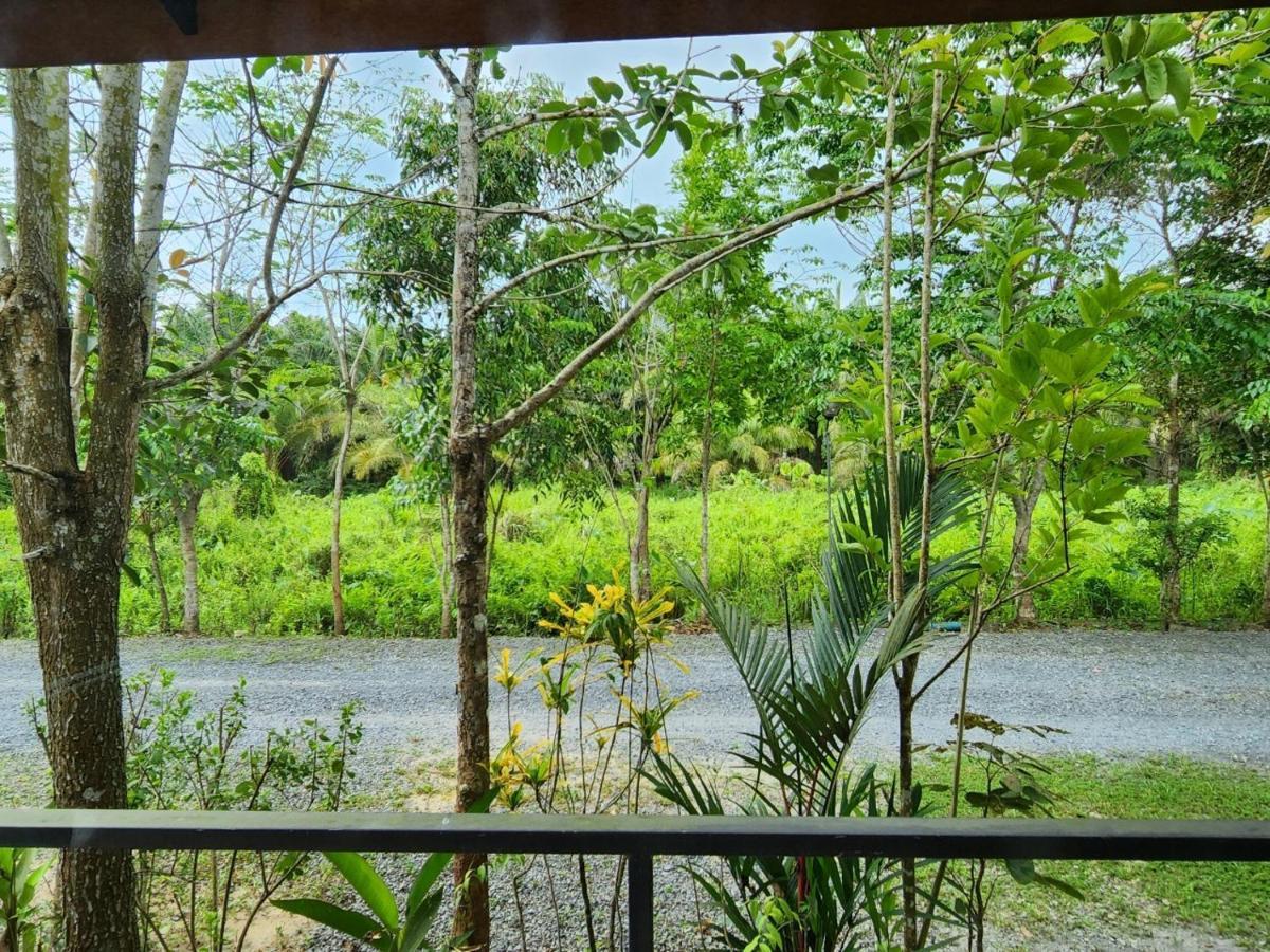 Suankafae Resort สวนกาแฟรีสอร์ท スラート・ターニー エクステリア 写真