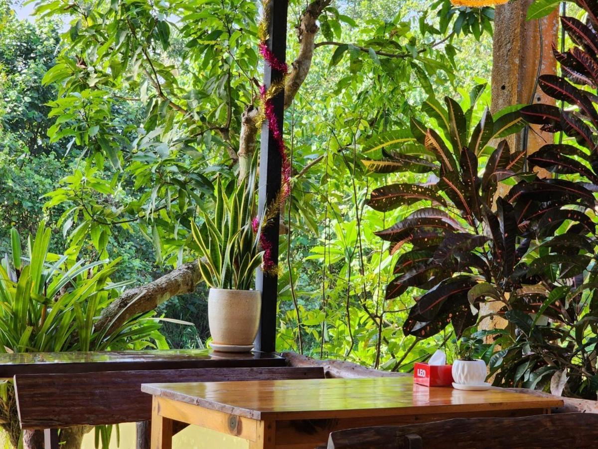 Suankafae Resort สวนกาแฟรีสอร์ท スラート・ターニー エクステリア 写真