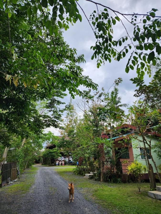 Suankafae Resort สวนกาแฟรีสอร์ท スラート・ターニー エクステリア 写真