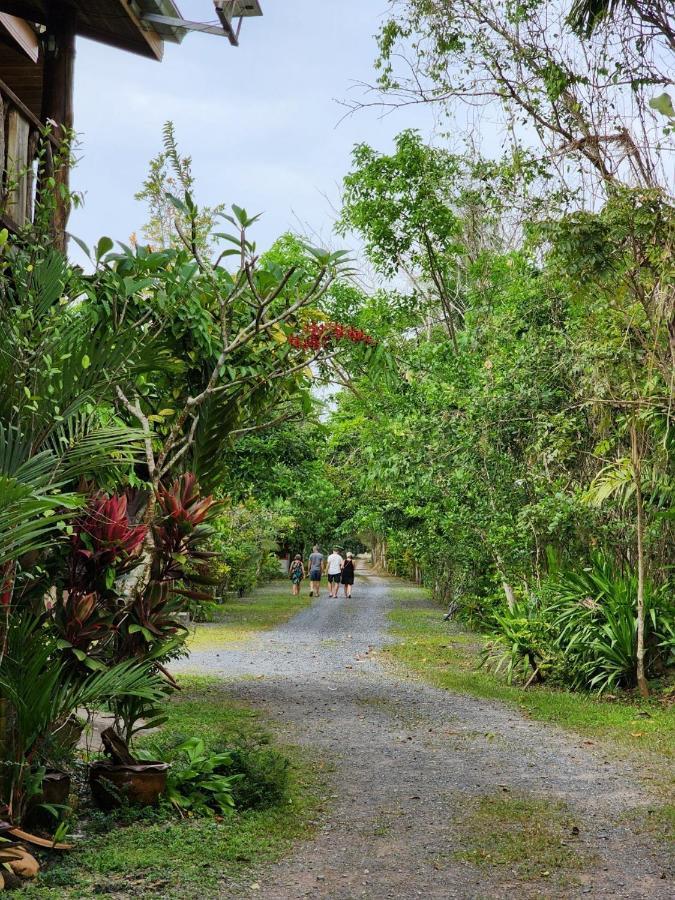 Suankafae Resort สวนกาแฟรีสอร์ท スラート・ターニー エクステリア 写真