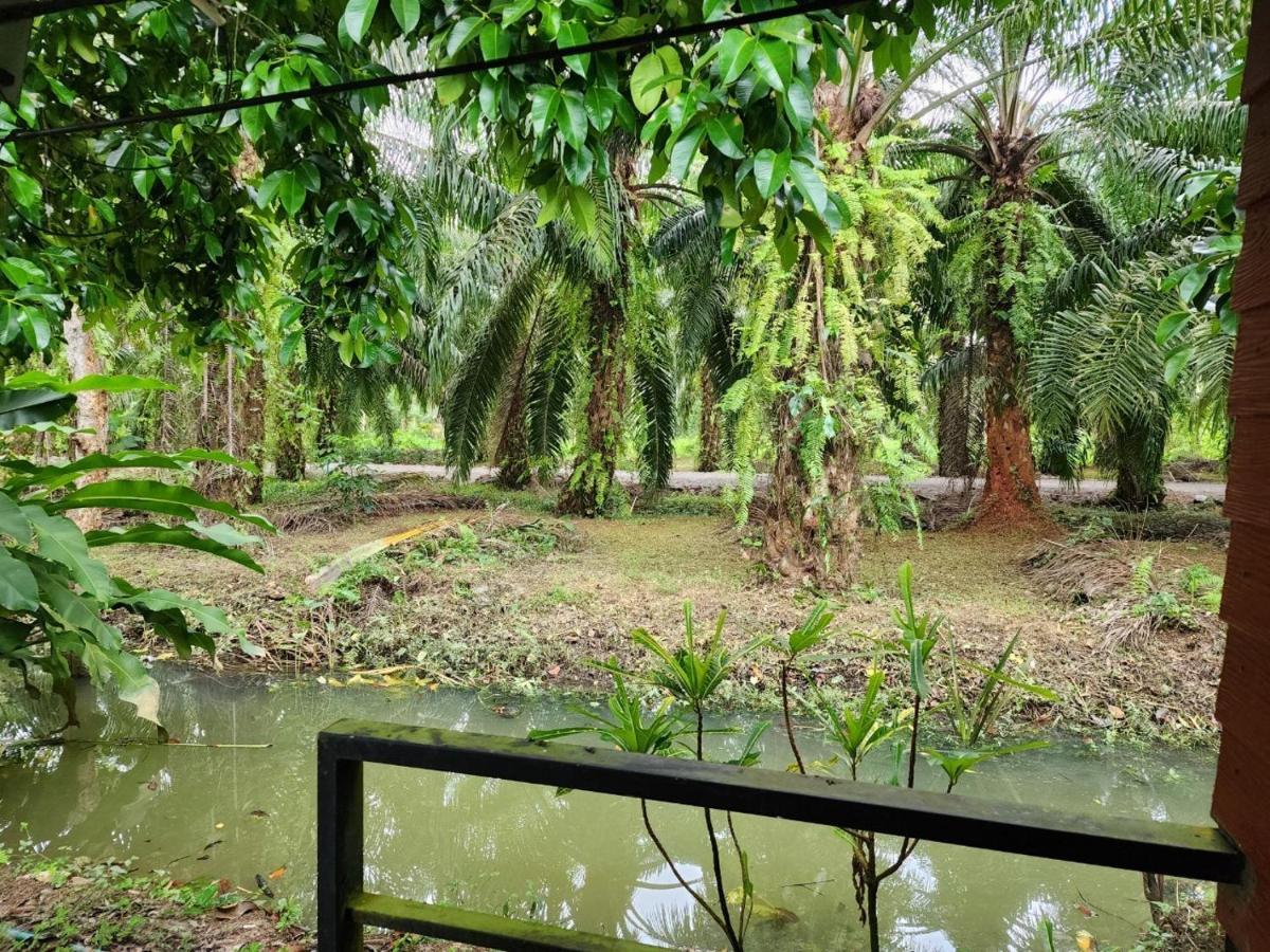 Suankafae Resort สวนกาแฟรีสอร์ท スラート・ターニー エクステリア 写真