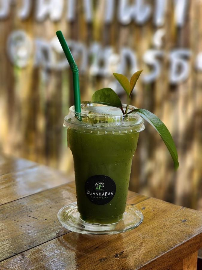 Suankafae Resort สวนกาแฟรีสอร์ท スラート・ターニー エクステリア 写真